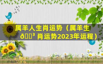 属羊人生肖运势（属羊生 🌳 肖运势2023年运程）